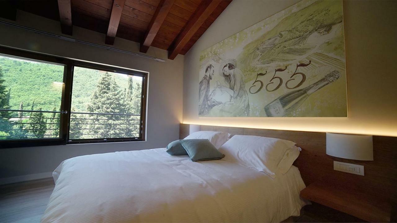 Agriturismo Acinatico Wine Relais 弗马尼 外观 照片